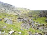 looking towards snowdon summit from railway path